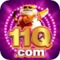 11q VIP v4.1.6